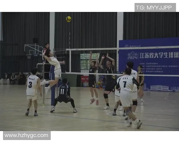 武汉排球队在最新排球比赛中表现卓越经验分享TOP10解析