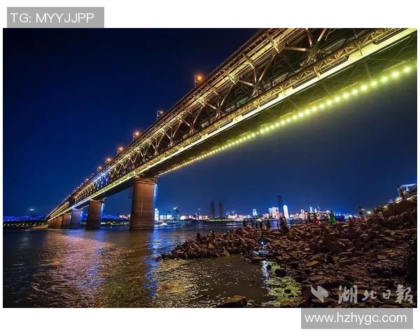 武汉排球队实力飙升创历史新高引发全国关注与期待