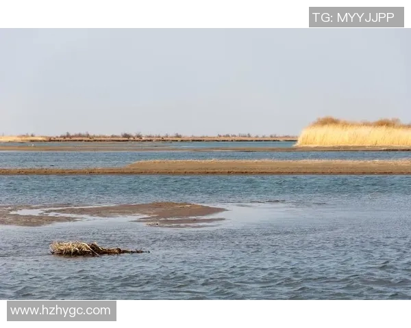 哈德森的魅力探秘：一场关于自然与人文的奇妙旅程